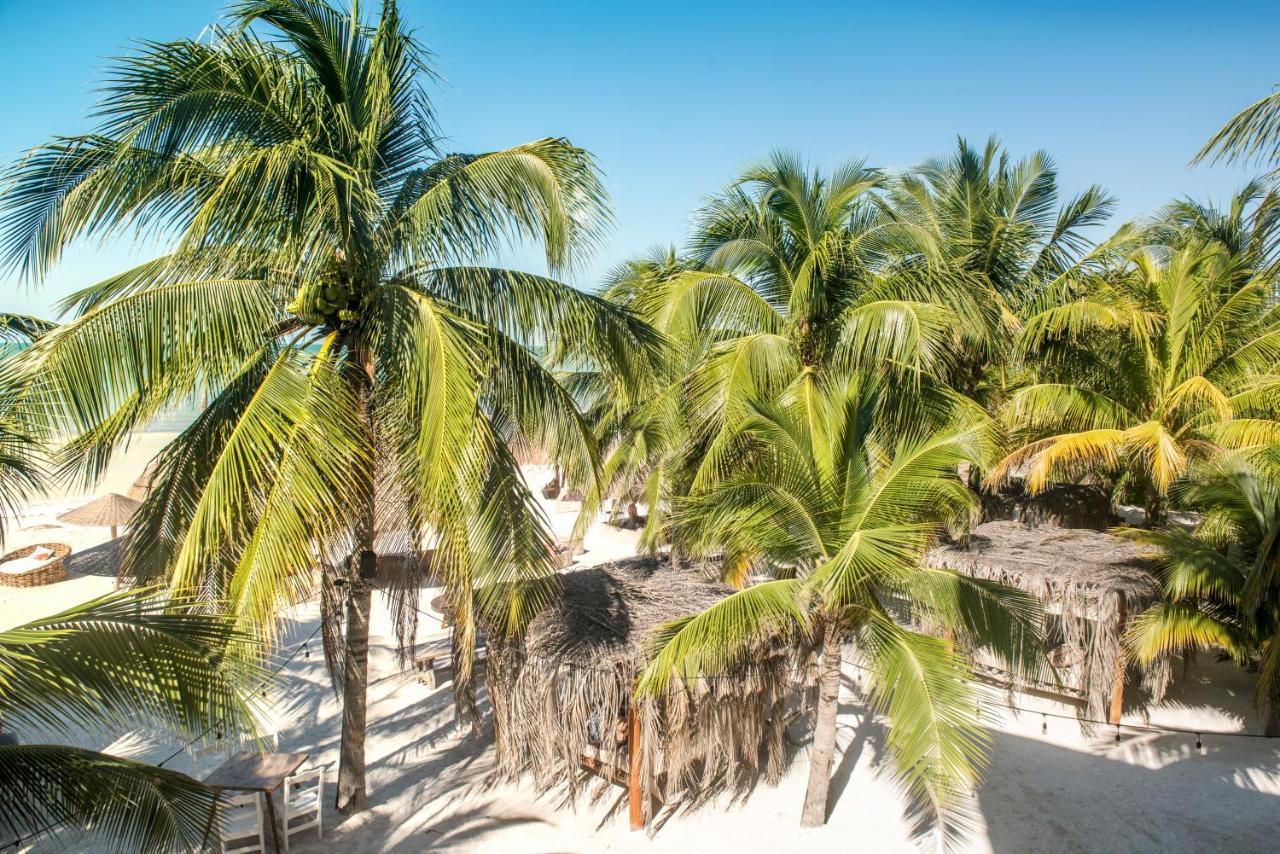 Casa Las Tortugas Petit Beach Hotel & Spa Isla Holbox Exterior photo